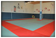 Club Montpellier Judo